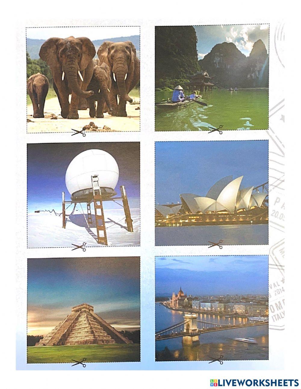 Eki 4.3. diziplin - australia