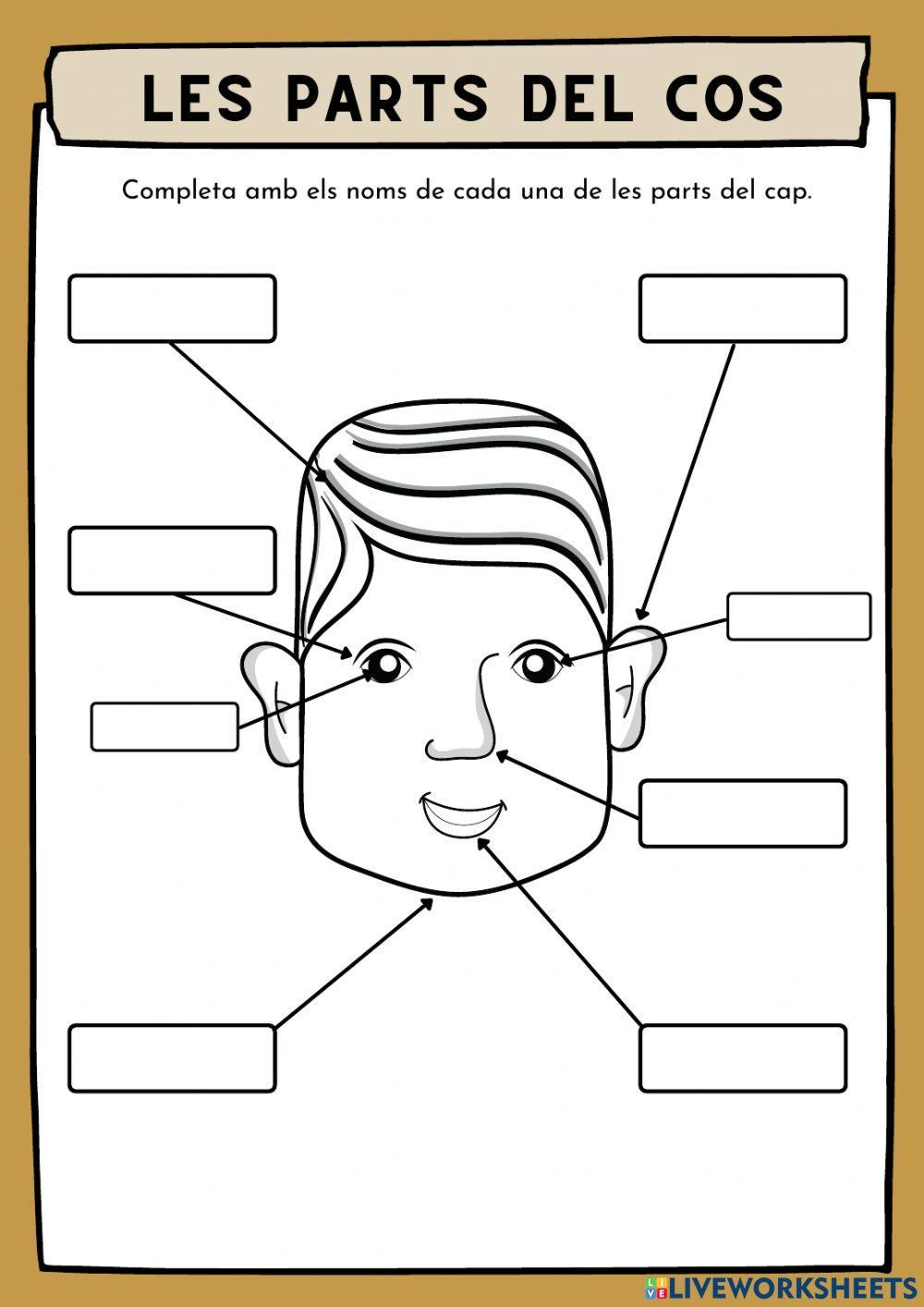 examen vocal neutra i vocabulari cos