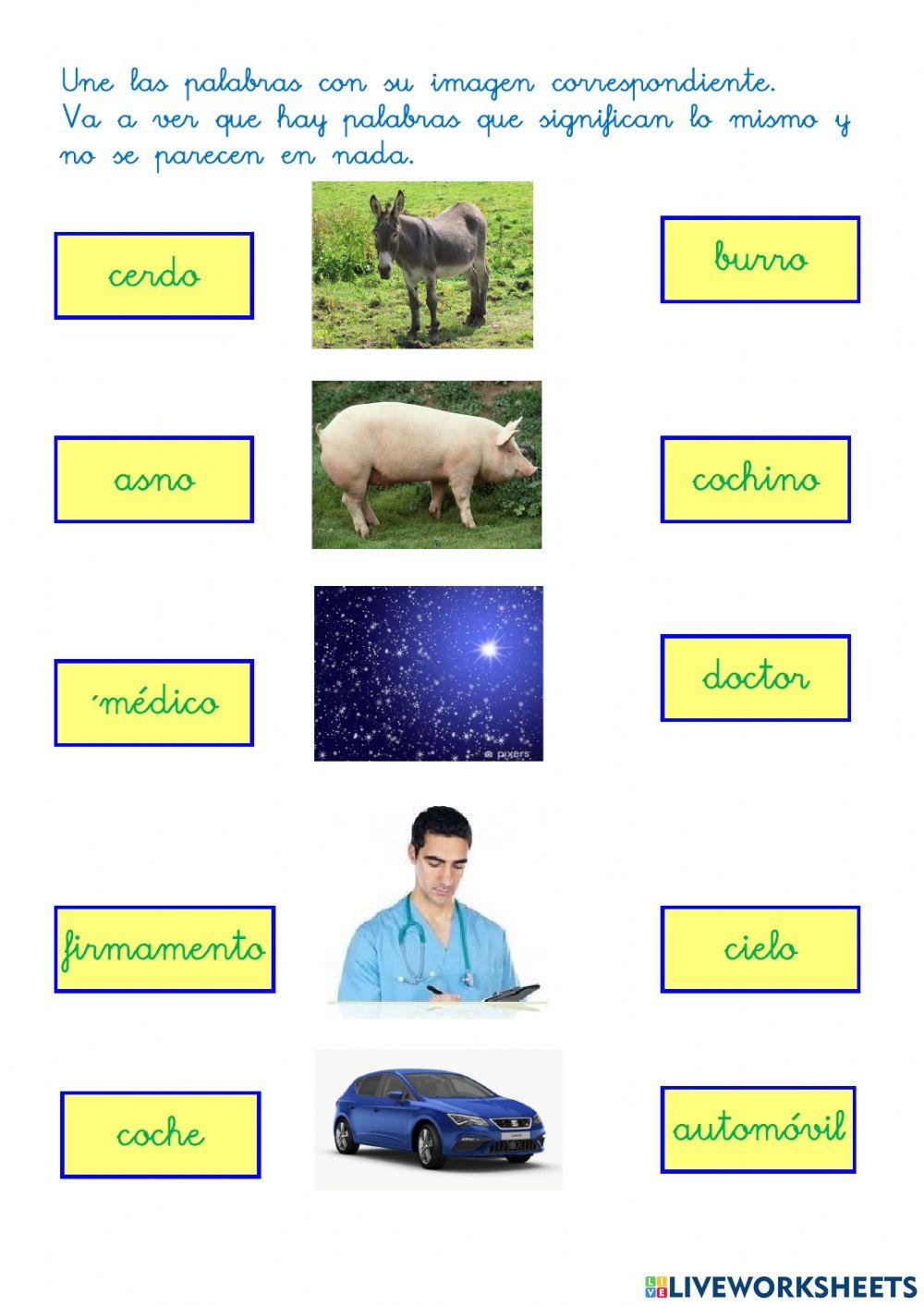 Antónimos y sinónimos