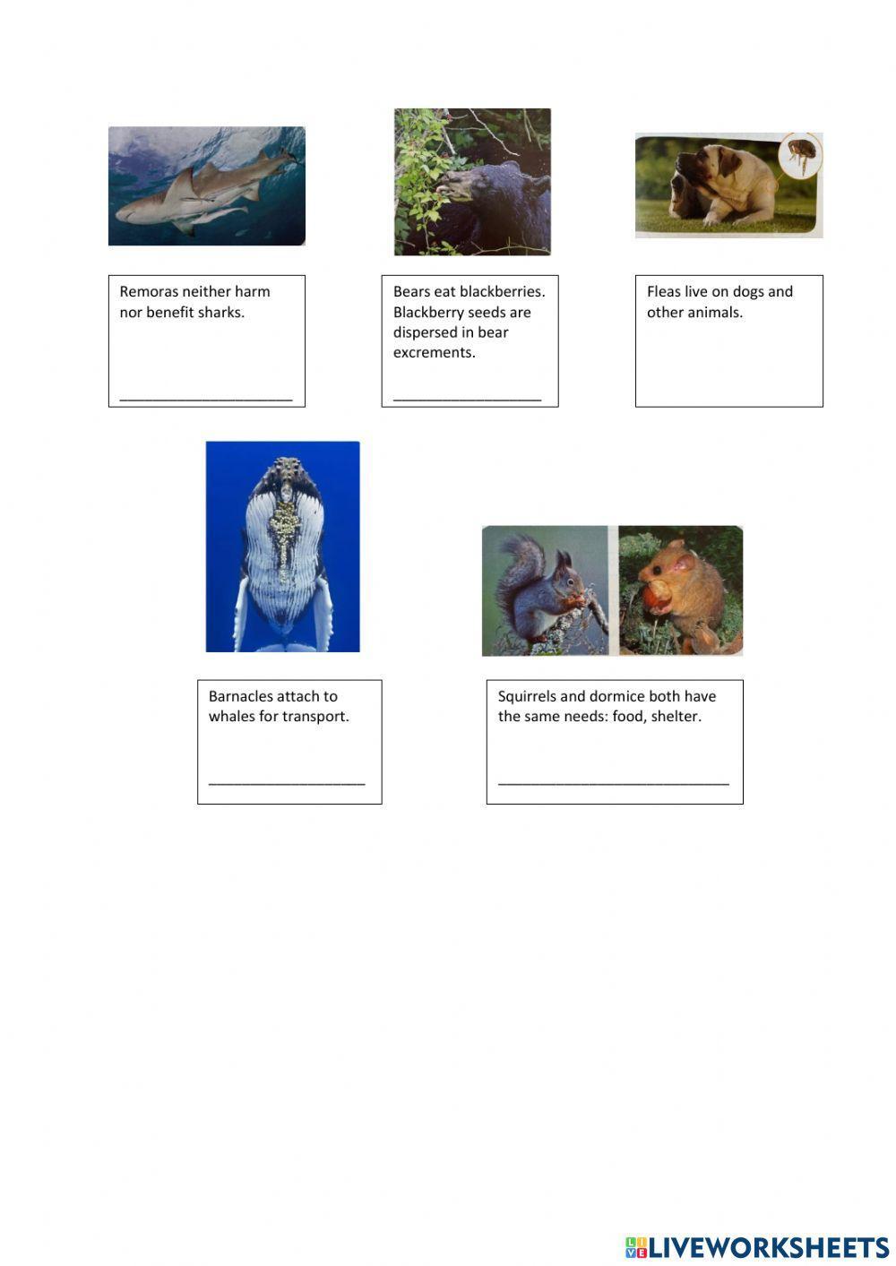 Ecosystems beneficial and harmful relationships