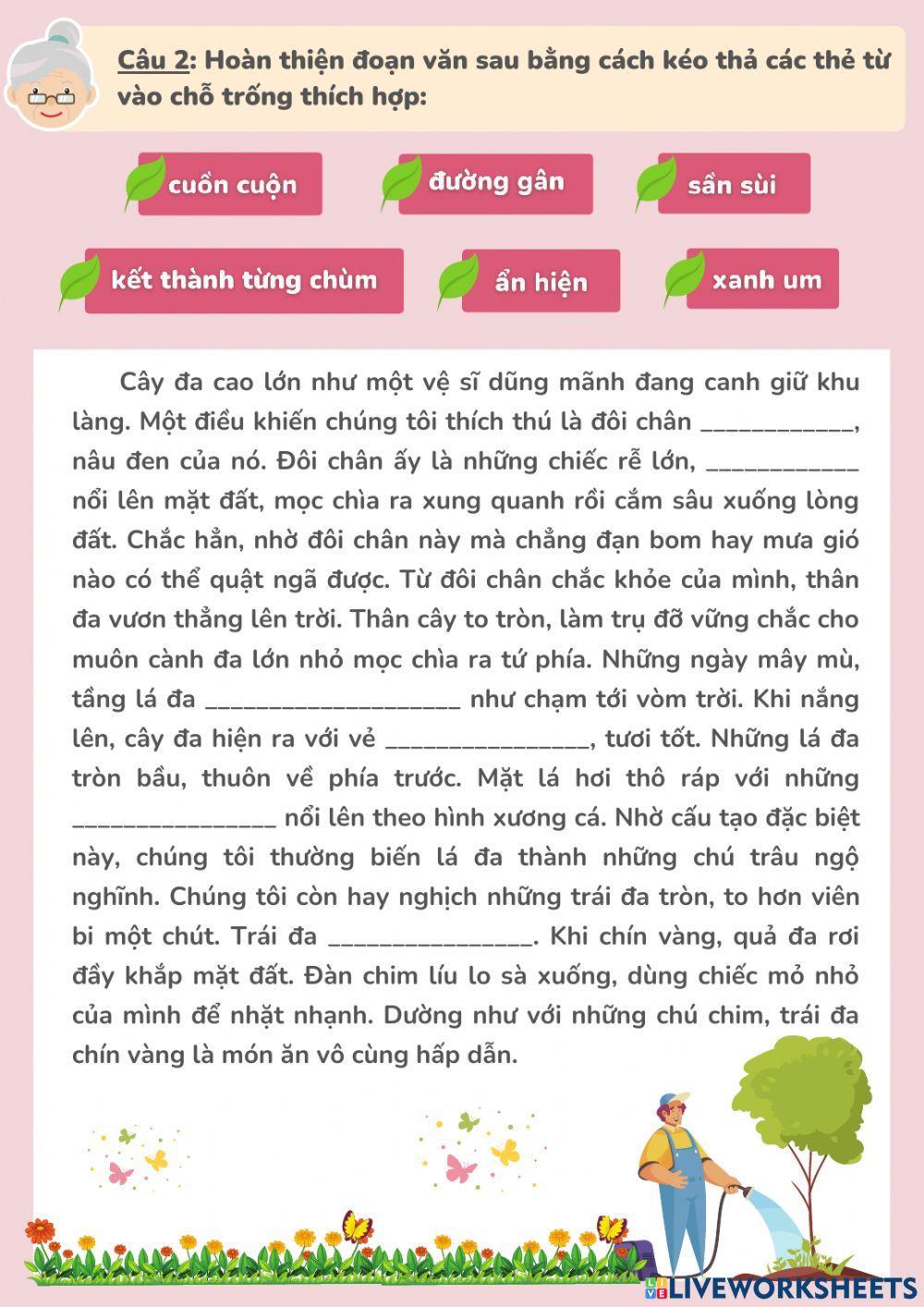 Phiếu ôn TV tuần 26