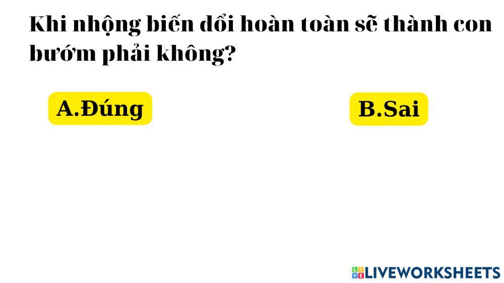 Vòng đời của bướm