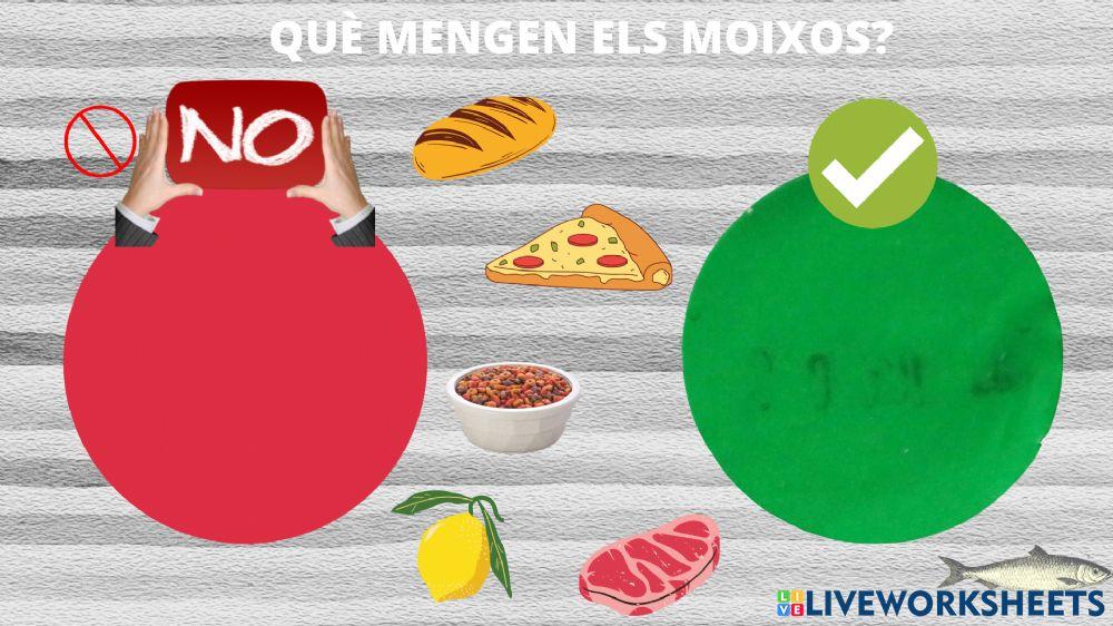 Què mengen els moixos?