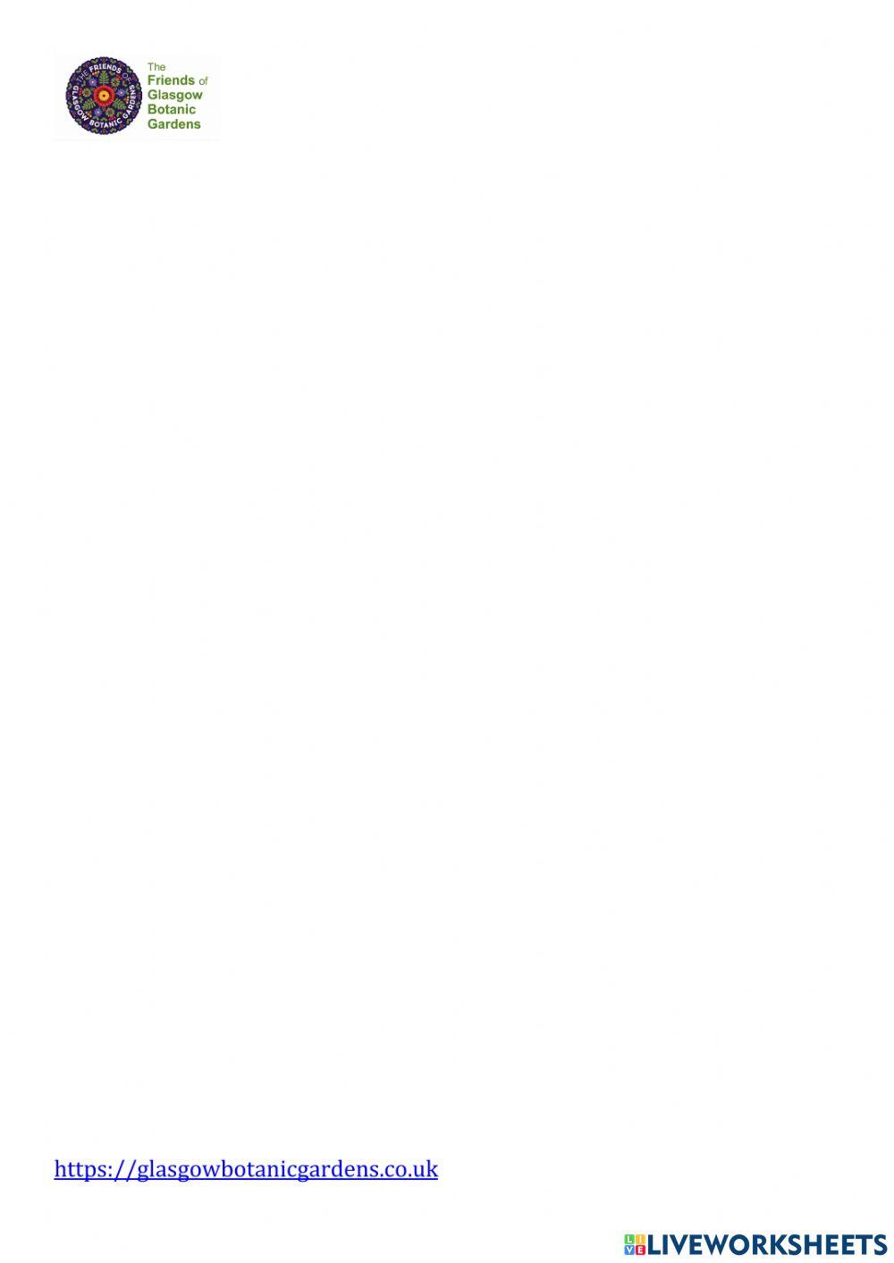 Plants in the Glasshouses