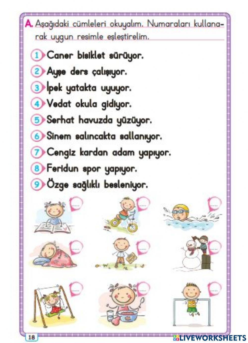 Cümleleri Oku, Doğru Görsele Taşı