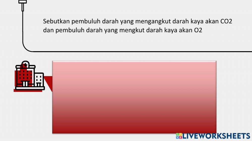 Lkpd sistem peredaran darah