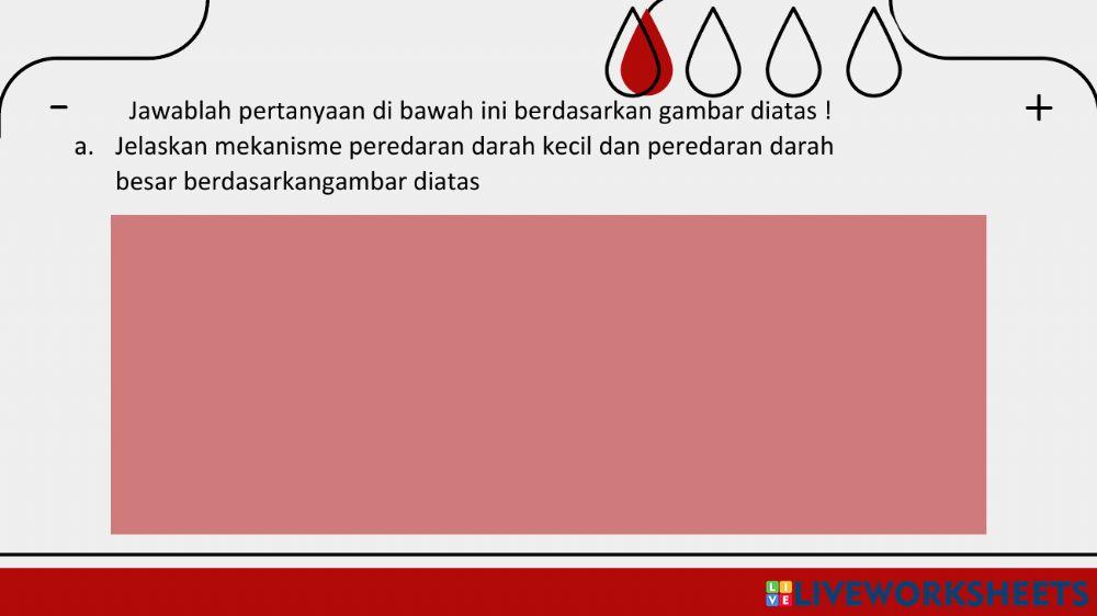 Lkpd sistem peredaran darah