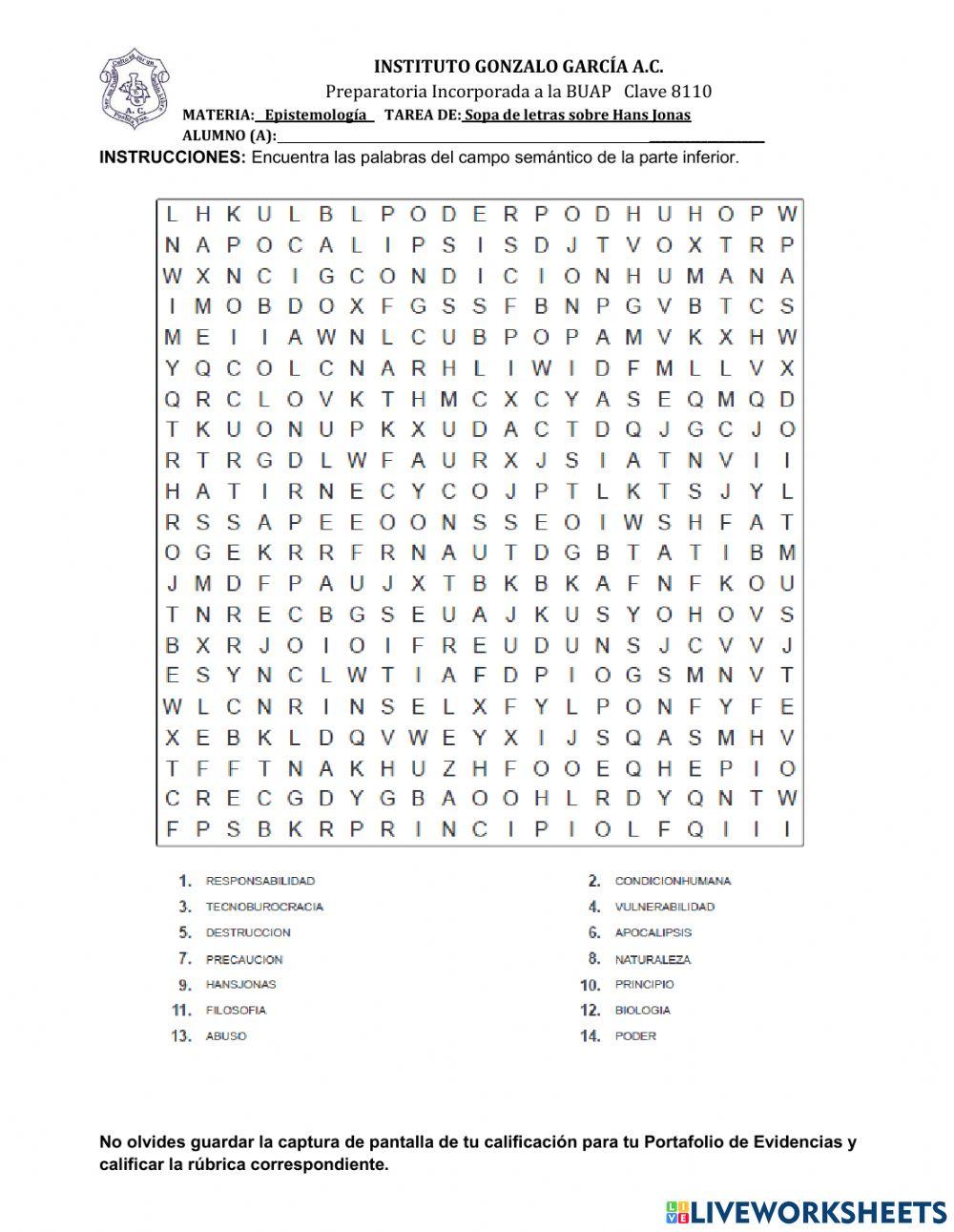 Principio de Responsabilidad