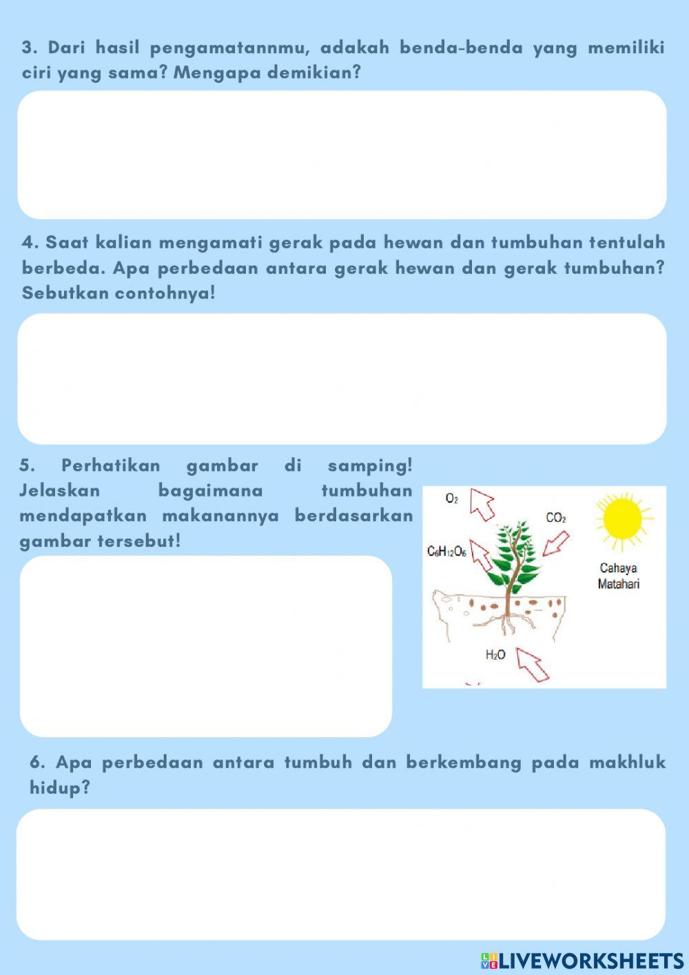 Ciri-ciri Makhluk Hidup