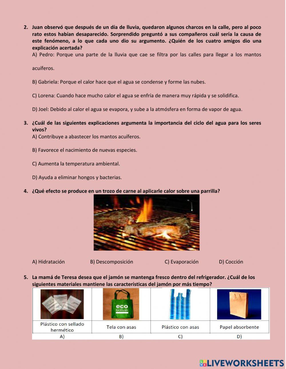 Ct-diagnostico-actividad-2