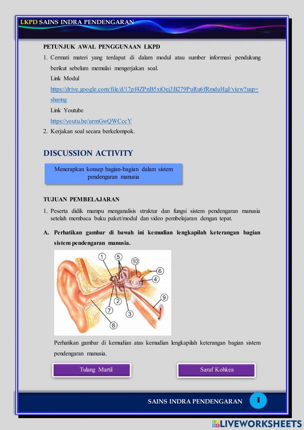Revisi-3-207190040-Putri Rahmawati-LKPD4-Online-Sains Indra Pendengaran
