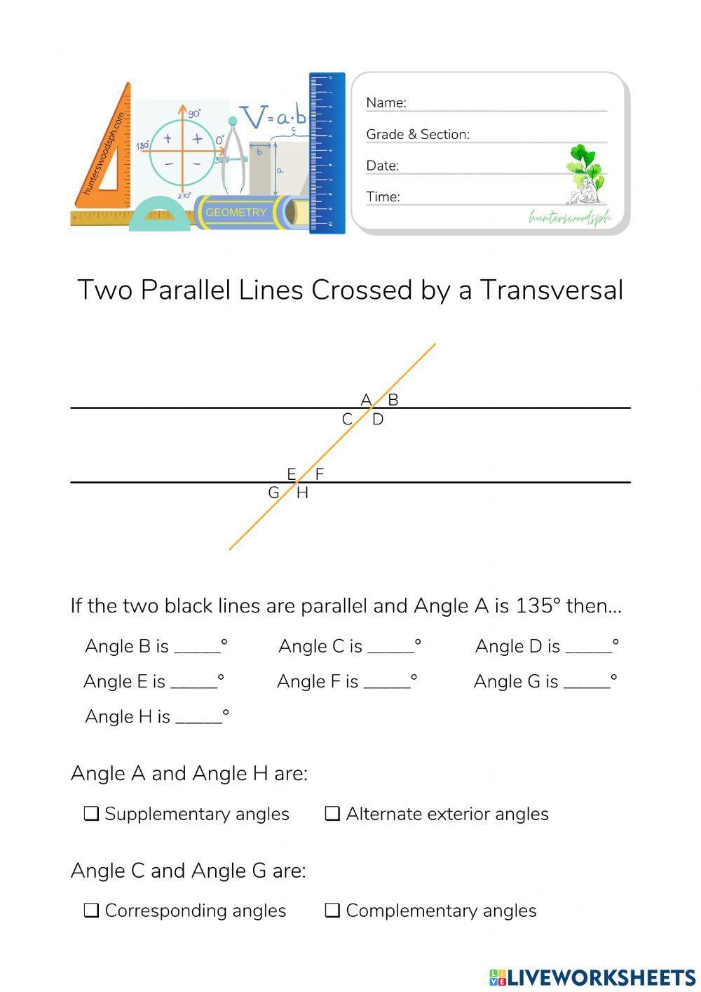 Two Parallel Lines Crossed By A Transversal (HuntersWoodsPH Montessori Geometry)