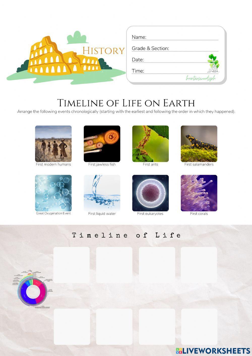 Timeline of Life on Earth (HuntersWoodsPH Montessori History)