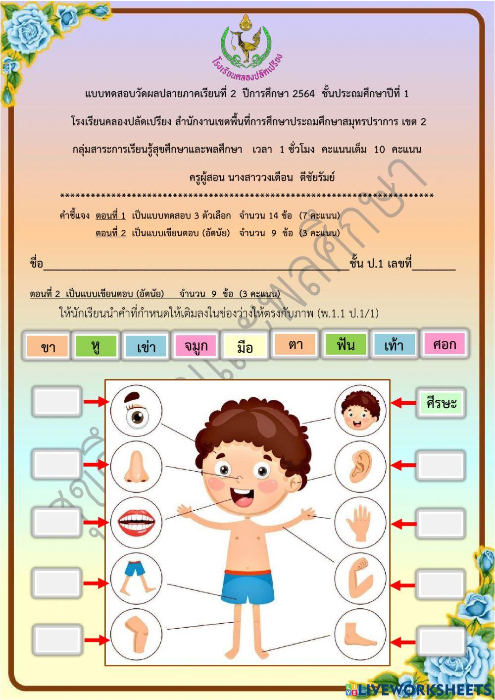 ข้อสอบปลายภาคเรียน วิชาสุขศึกษาและพลศึกษา ชั้น ป.1 ภาคเรียนที่ 2-2564 ตอนที่ 2