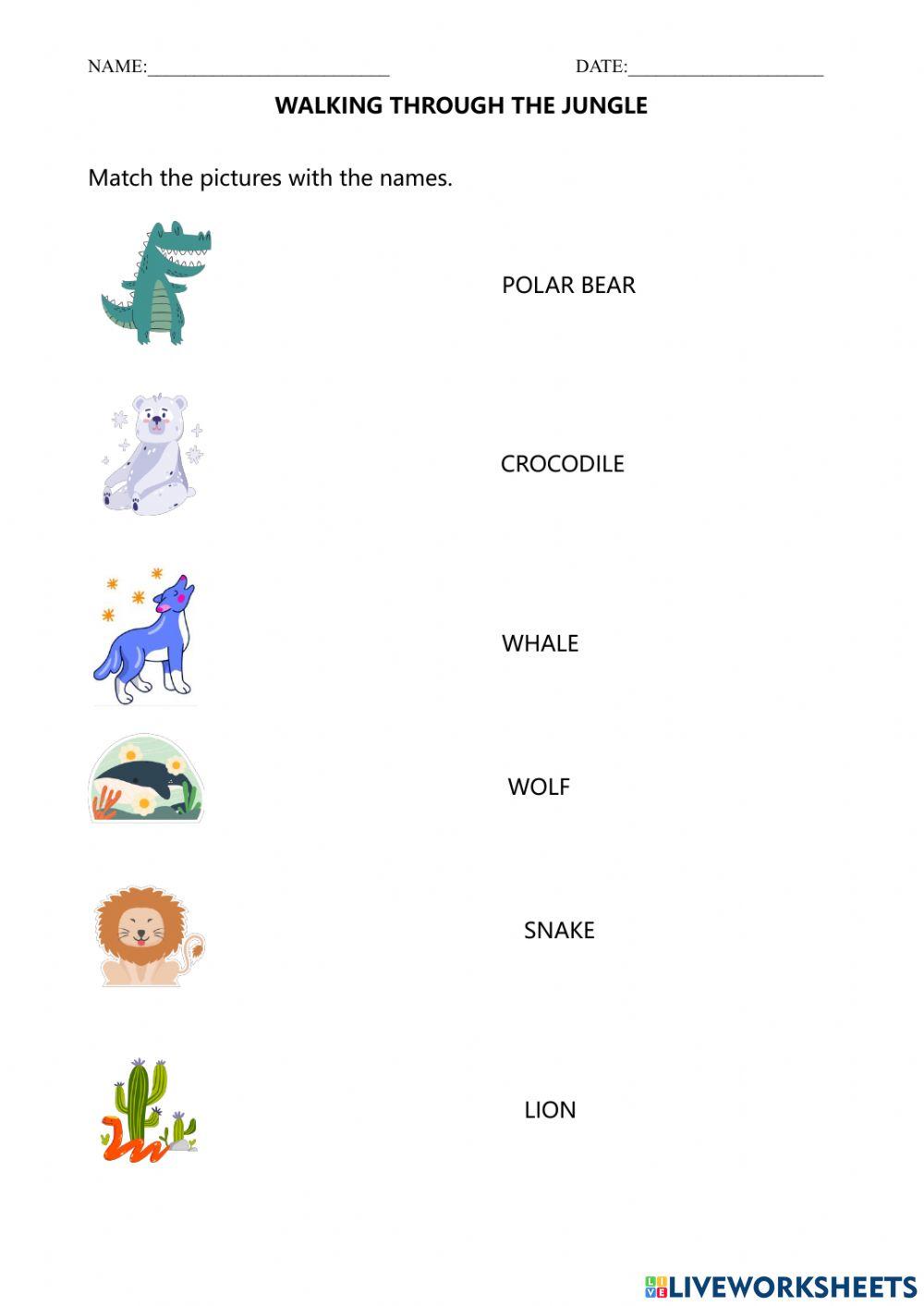 Walking through the jungle