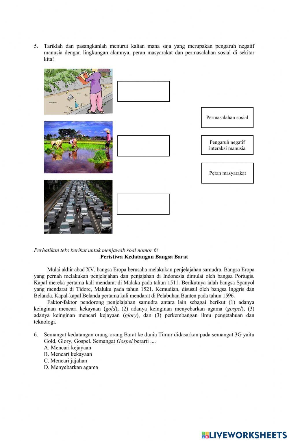 PTS Ilmu Pengetahuan Sosial (IPS)