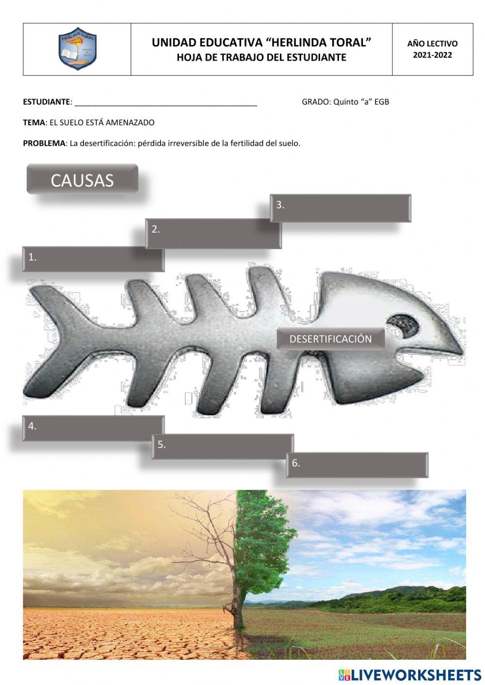 El suelo está amenazado