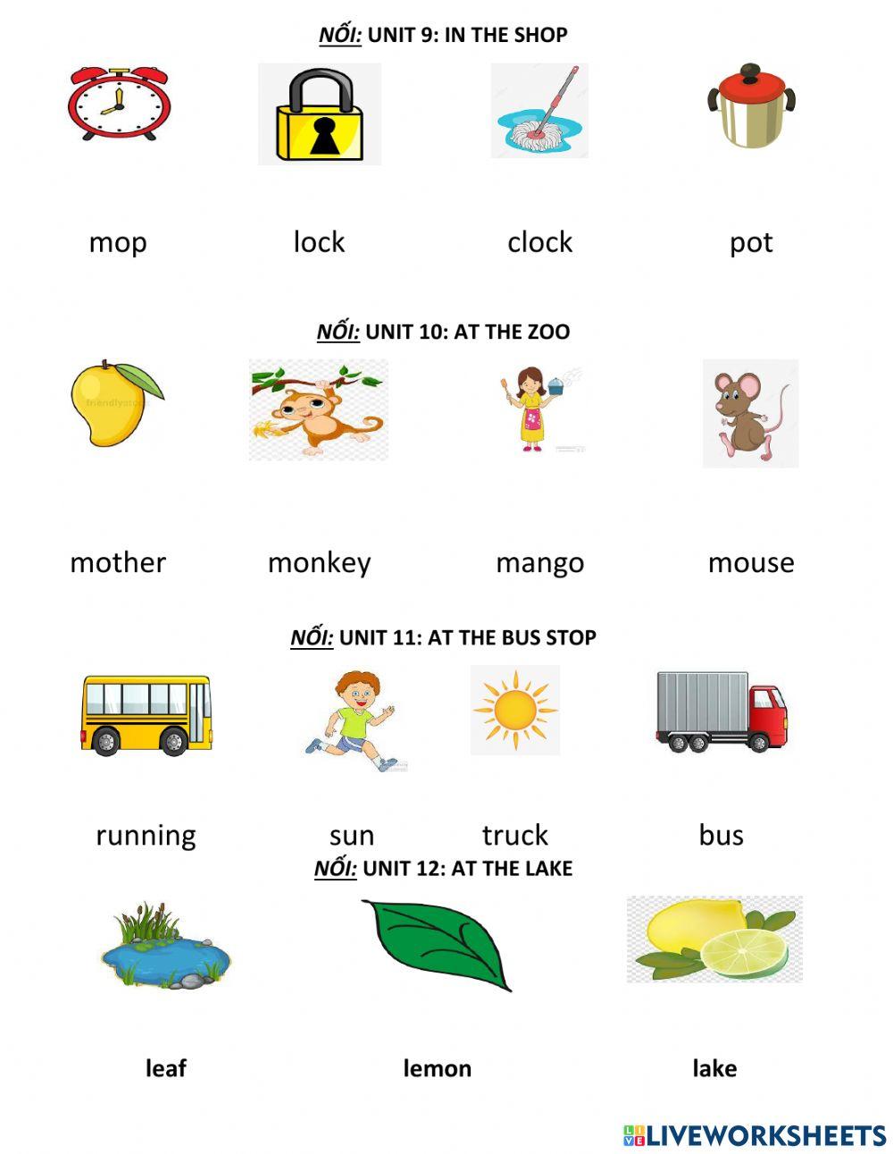 E1 Nối và sắp xếp từ