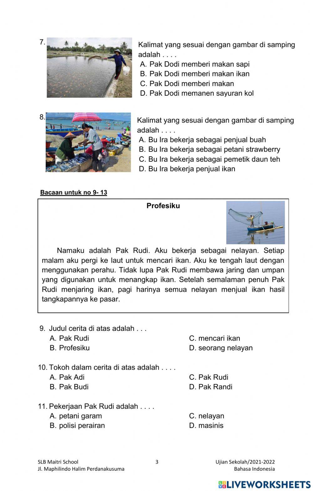 Ujian Sekolah Bahasa Indonesia SMALB