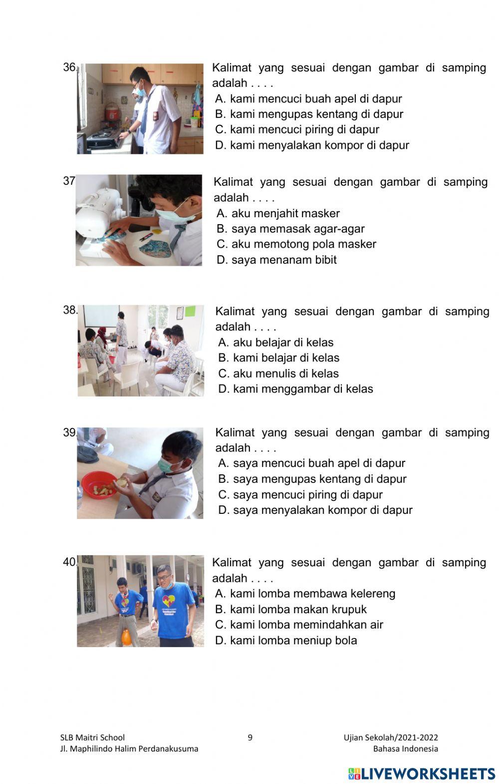 Ujian Sekolah Bahasa Indonesia SMALB