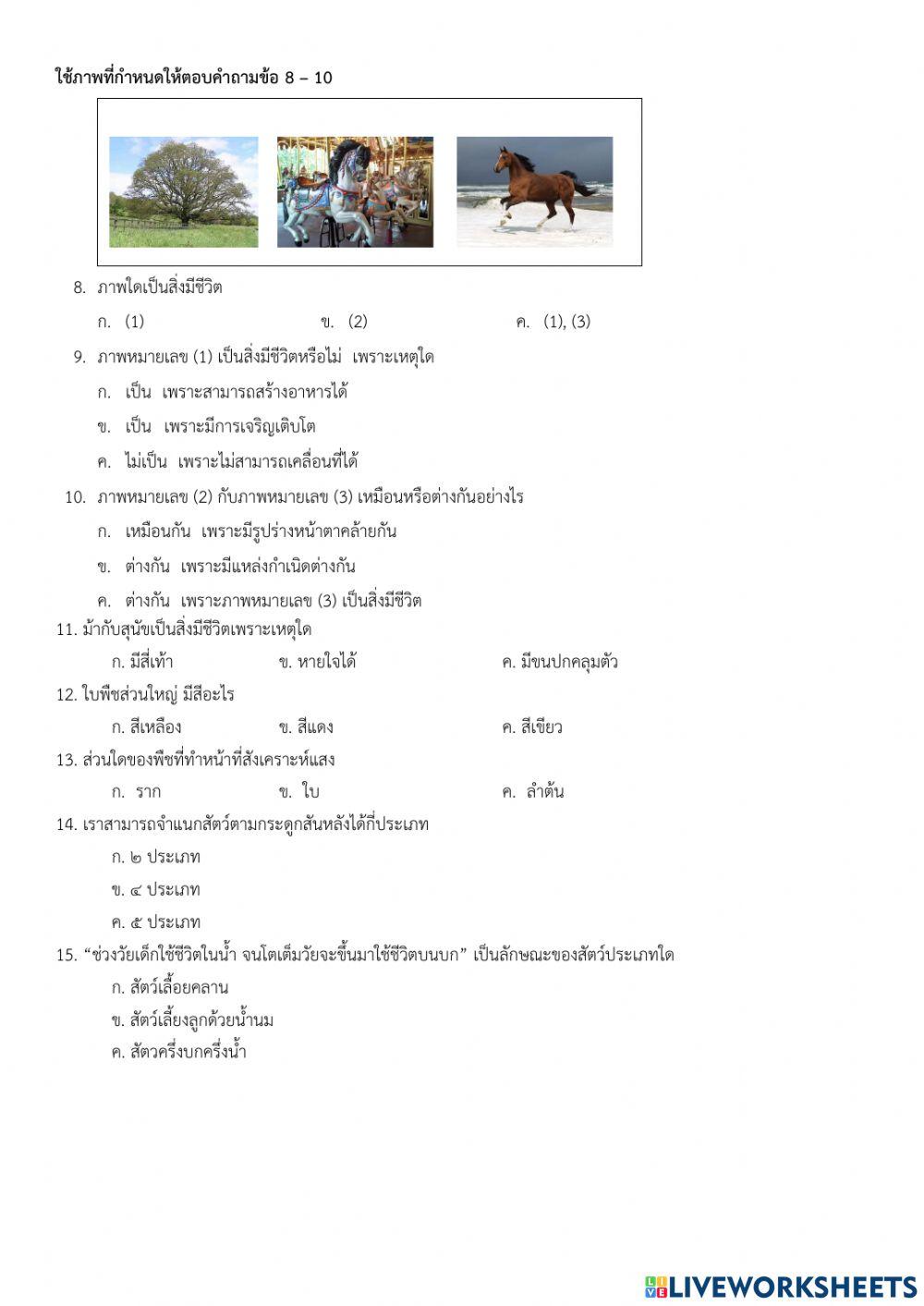 ข้อสอบปลายภาค วิทยาศาสตร์