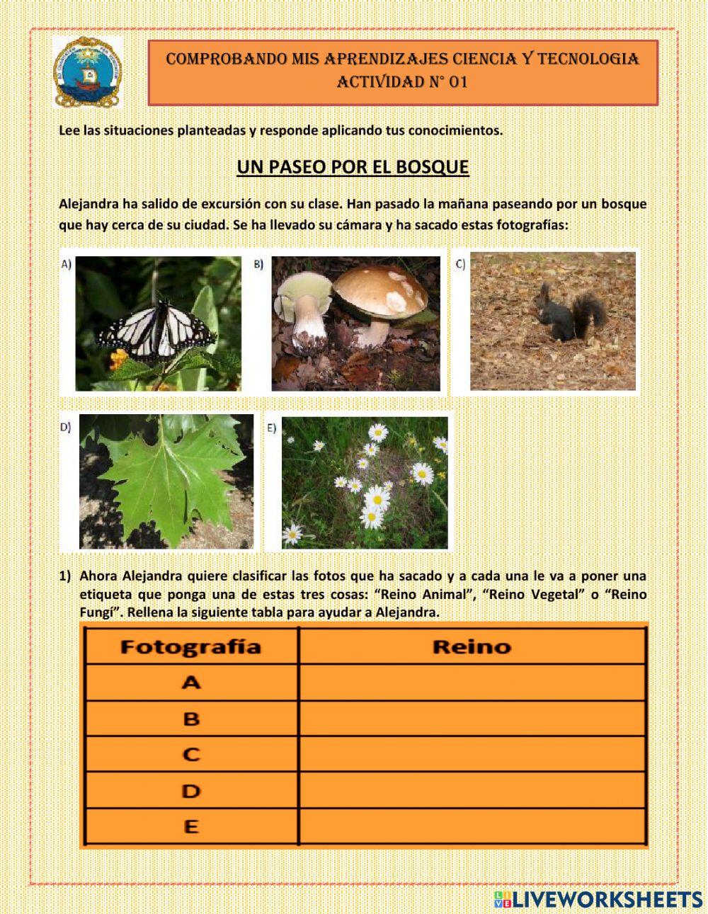 Ct-6-diagnostico-actividad-1