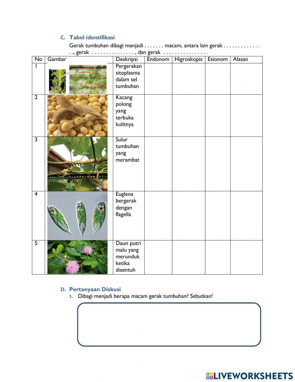 LKPD Sistem Gerak Tumbuhan