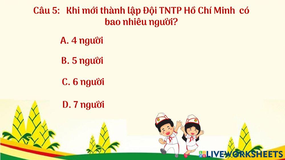 Tìm hiểu về Đội TNTP HCM
