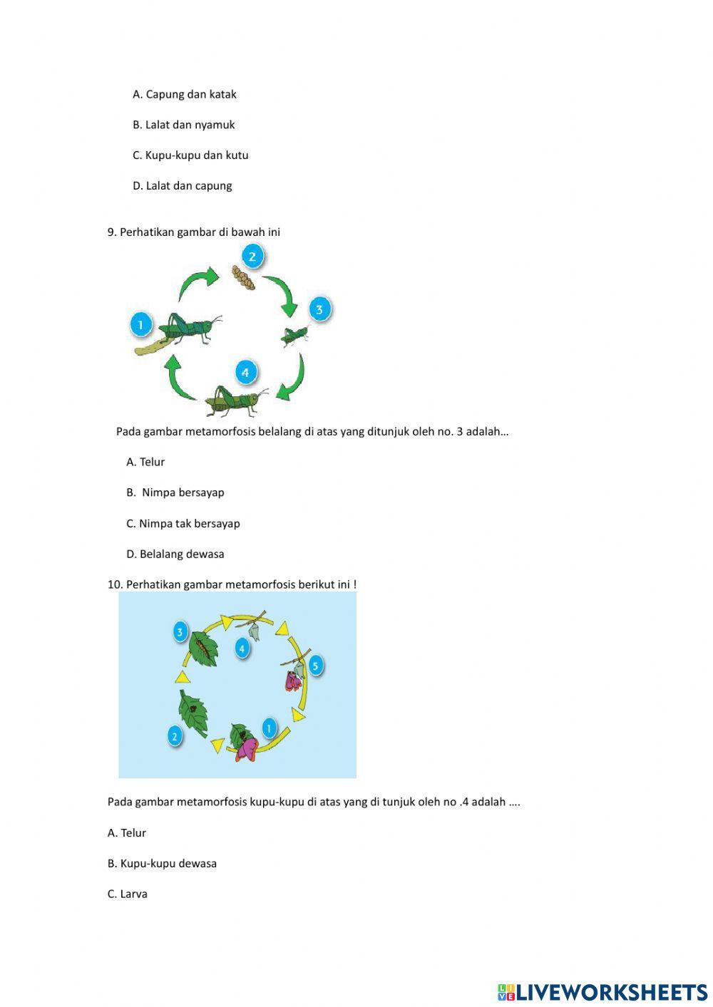 Pts tema 6 subtema 1 semester 2 2022