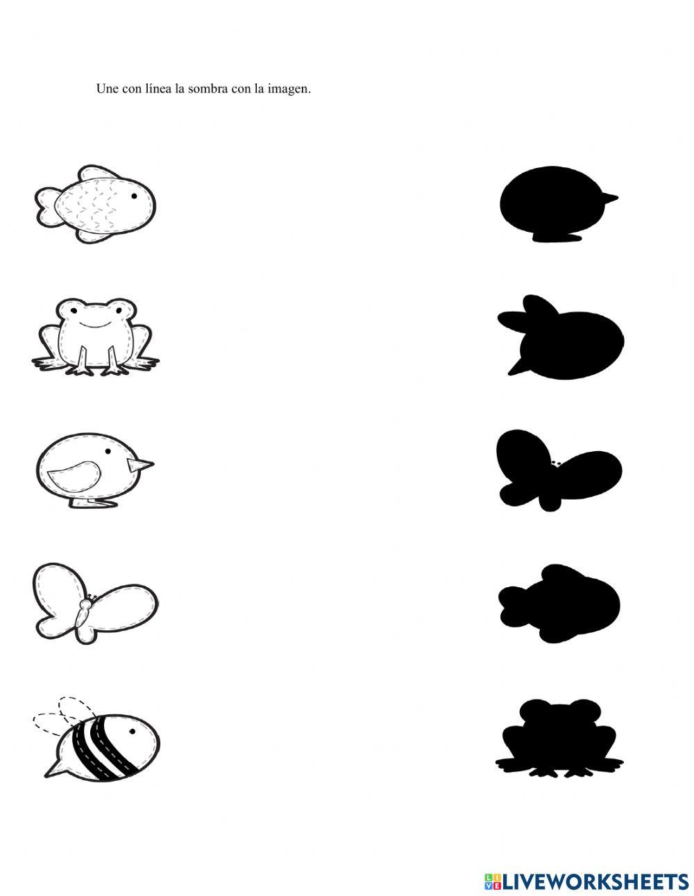 Ficha de  percepción visual