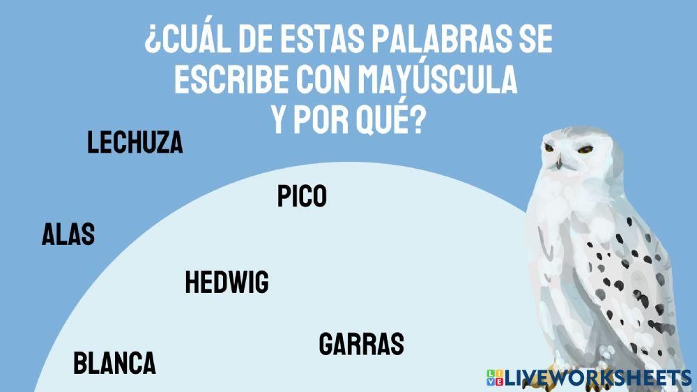 Mayúsculas mágicas