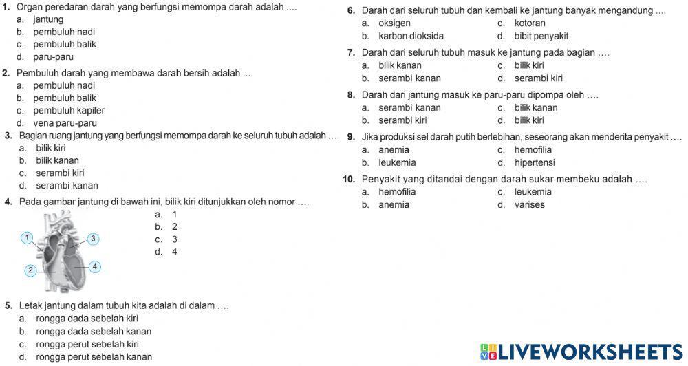 Sm sd 5 peredaran darah