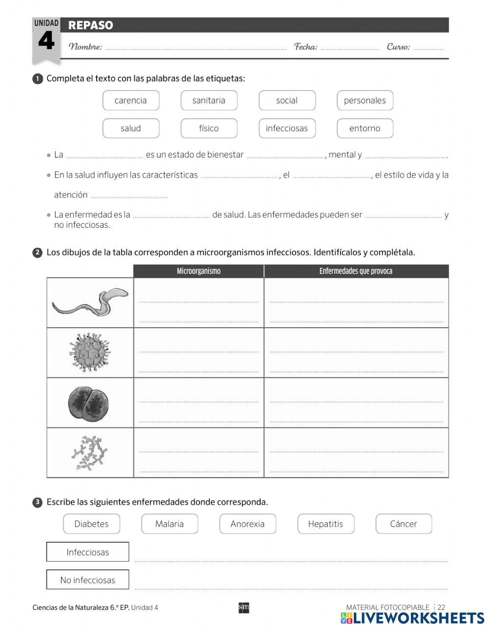 Repaso tema La salud.
