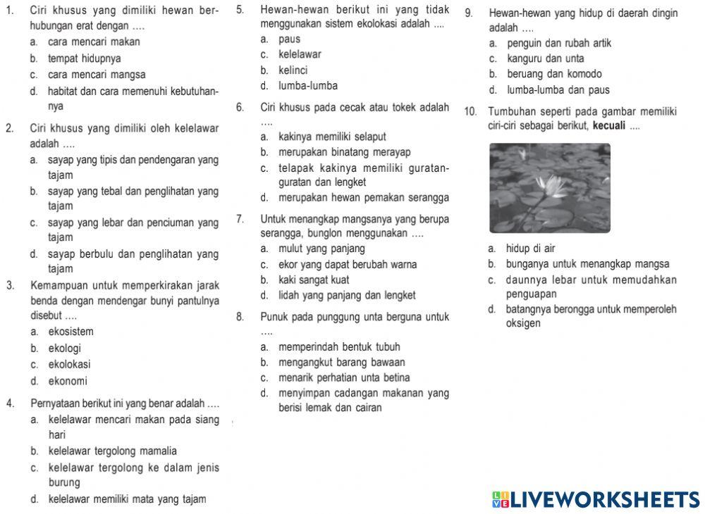 Sm sd 6 ciri-ciri mahluk hidup