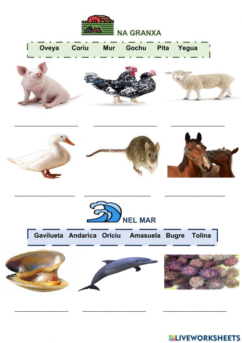 Animales de la granxa, viesca y mar