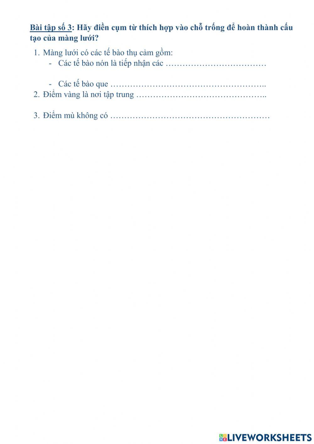 Cơ quan phân tích thị giác