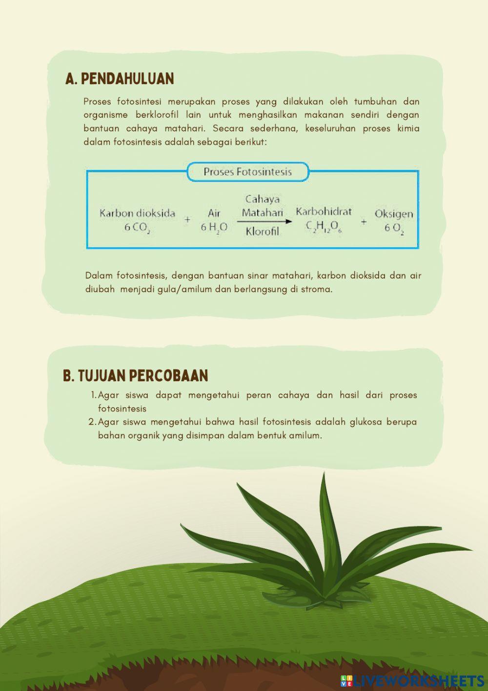LEMBAR KERJA SISWA (LKS): Fotosintesis – Percobaan  Sachs
