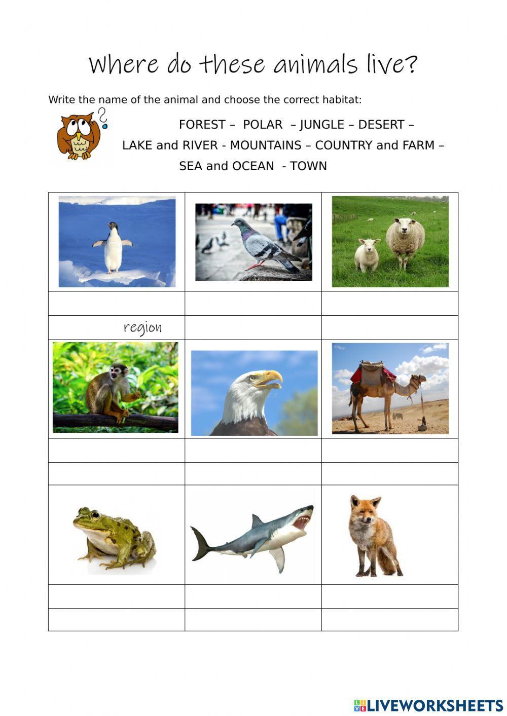 ANIMALS and their HABITATS