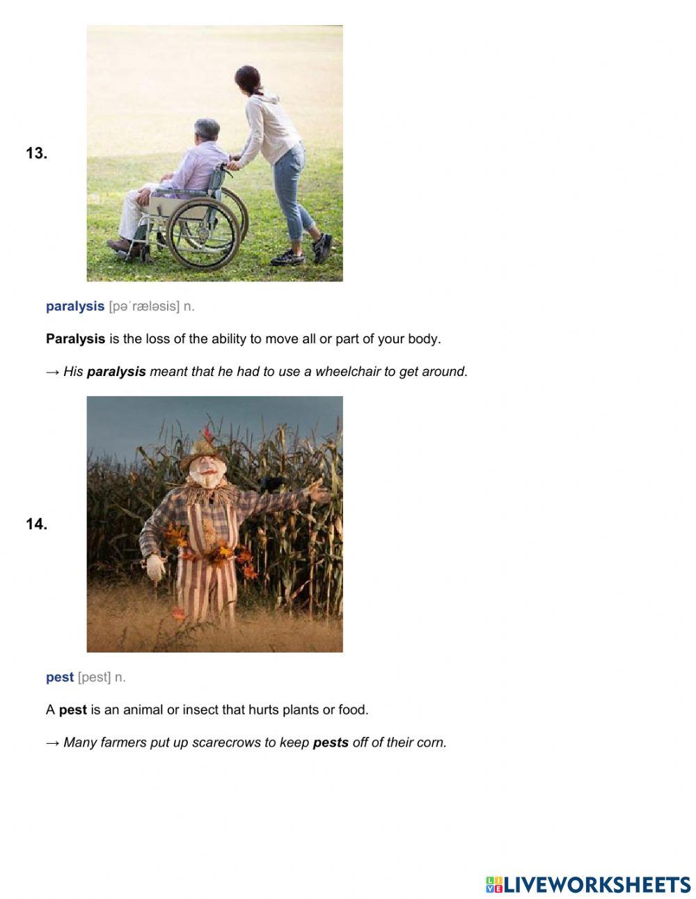 Spelling U9 Bites only words