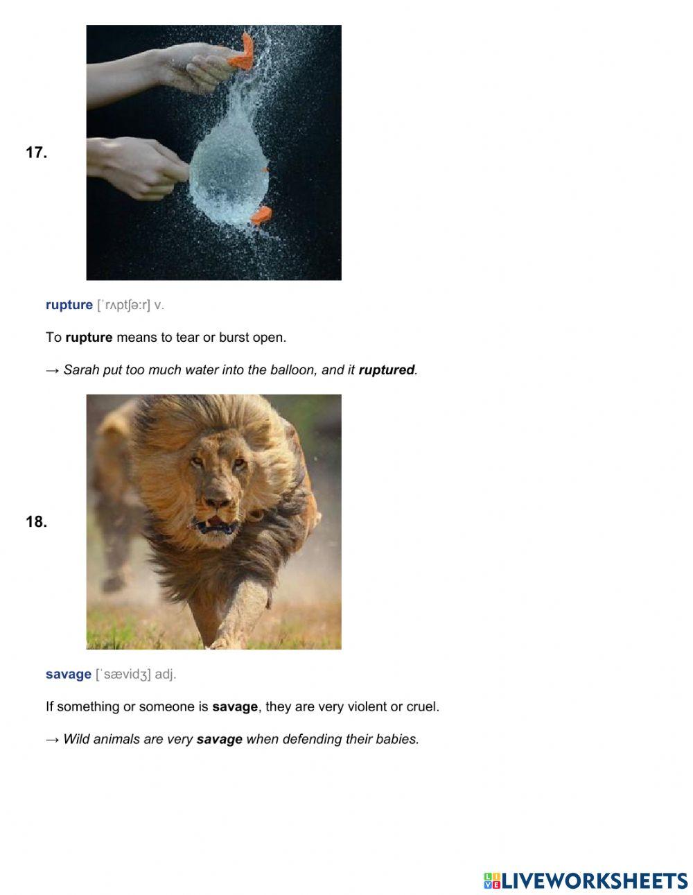 Spelling U9 Bites only words