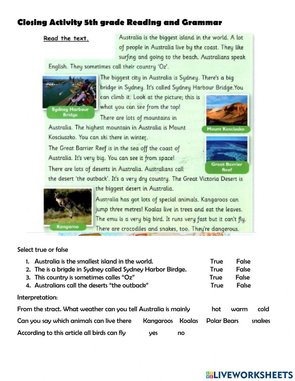 Reading Comprehension