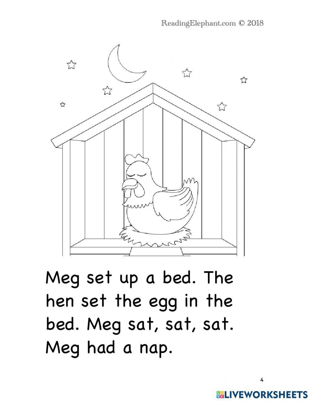 Meg the Hen story