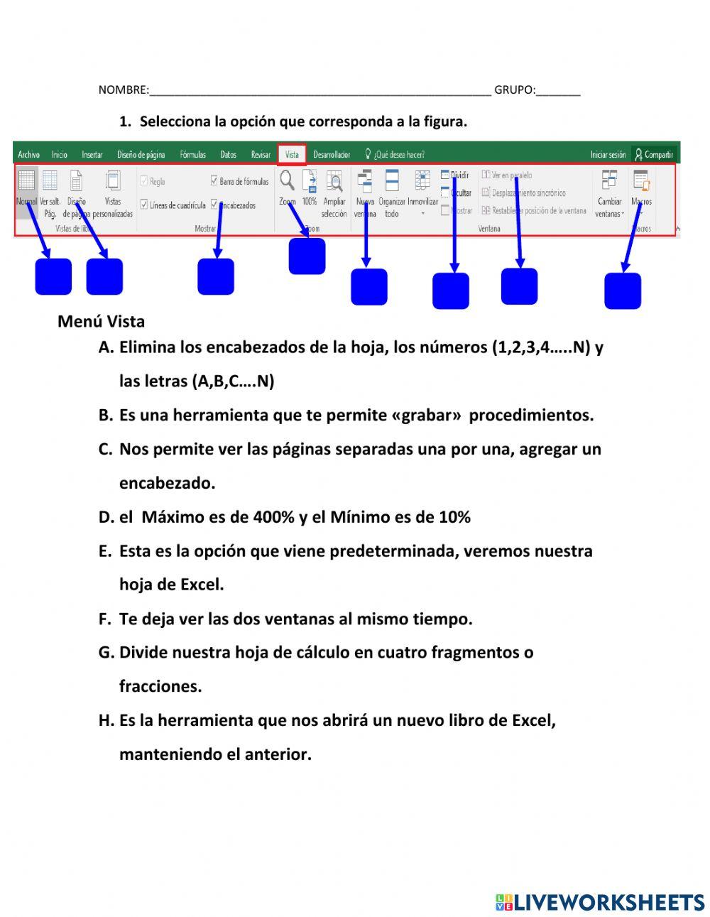 Pestaña de vista en excel