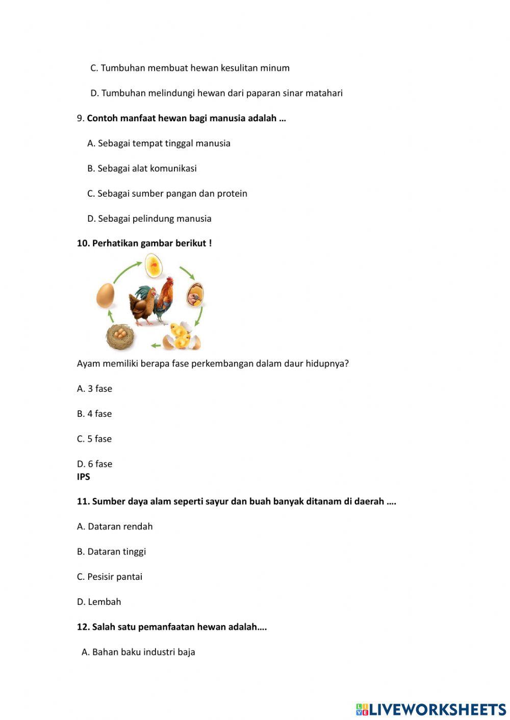 Soal PTS Kelas 4 Tema 6 Subtema 2