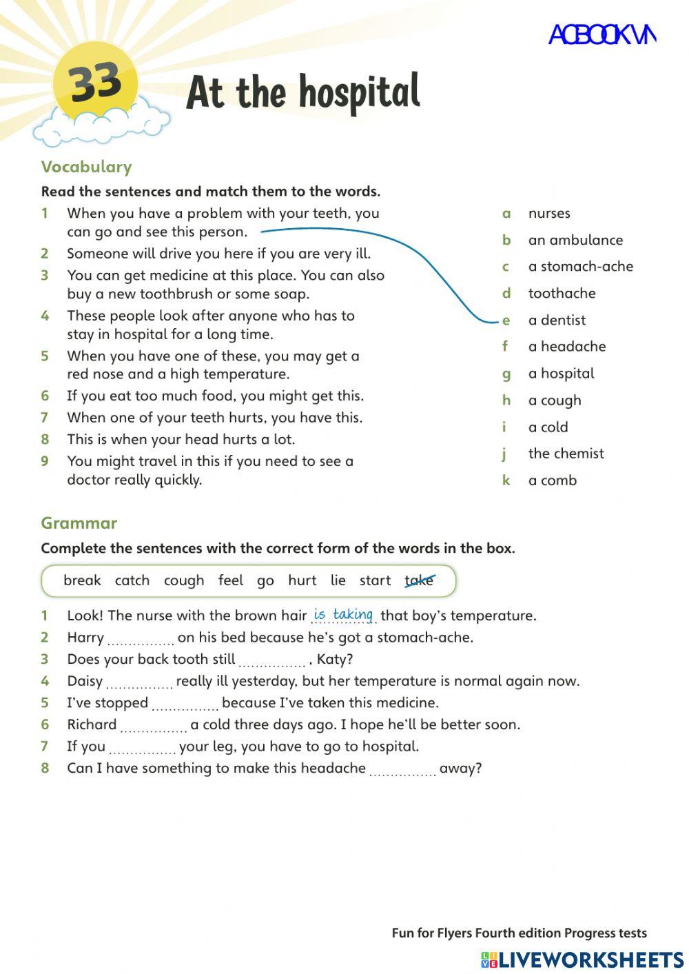 FLyers Grammar and Vocabulary