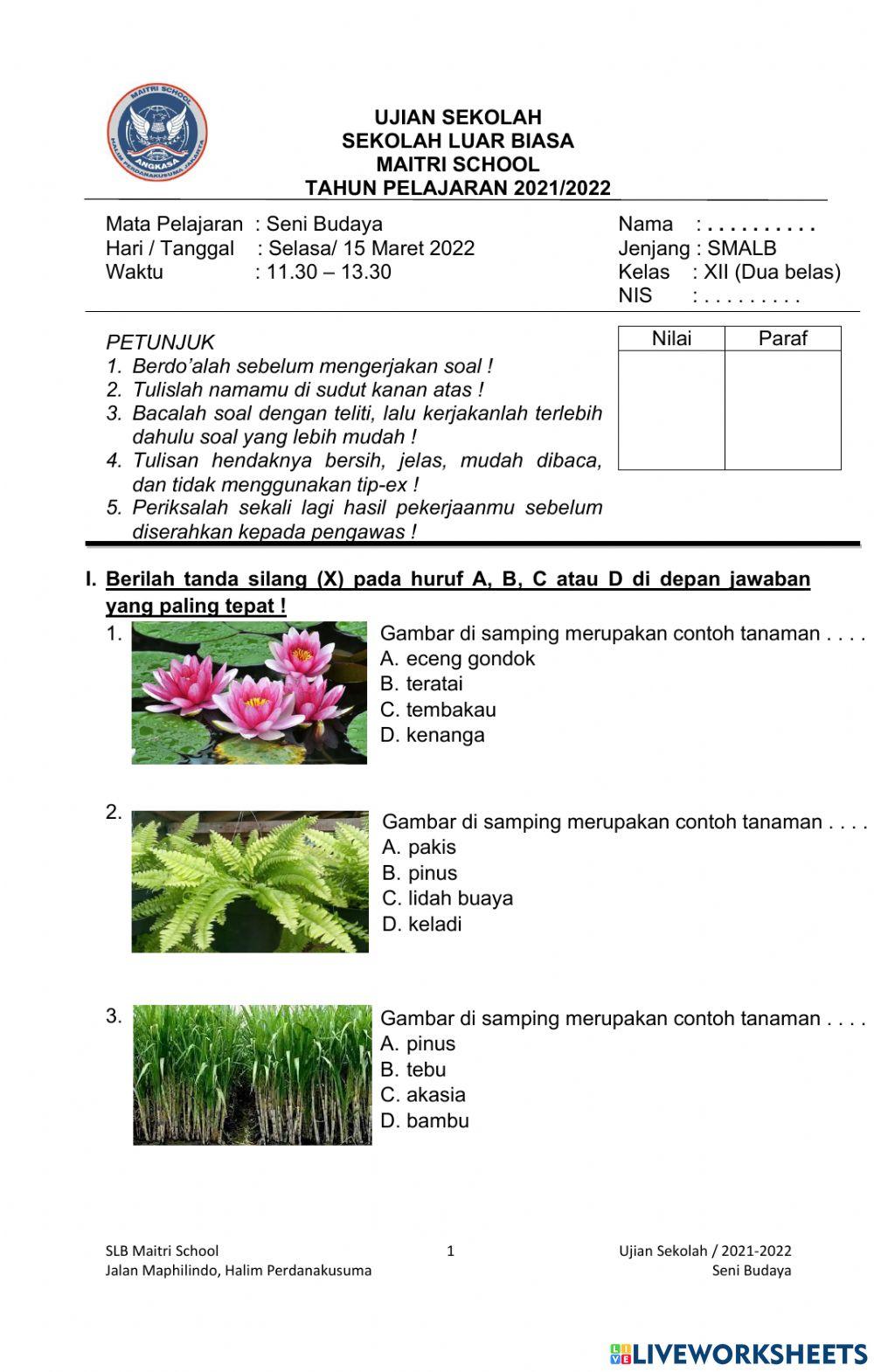 US Seni Budaya SMALB Maitri School