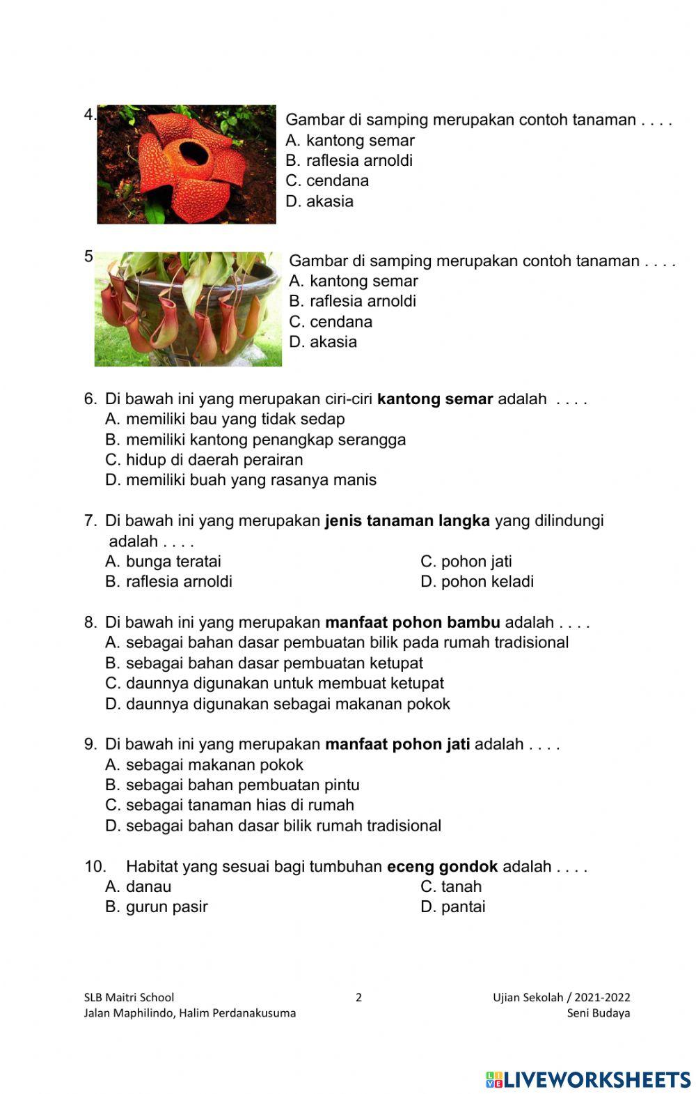 US Seni Budaya SMALB Maitri School