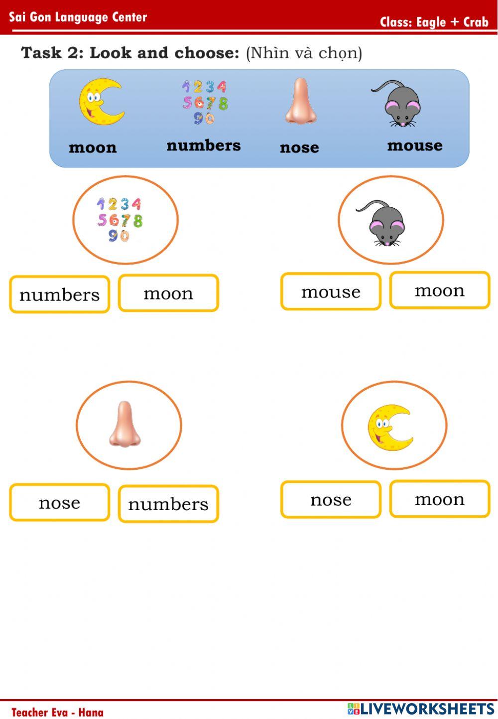 PPD (Moon, mouse, nose, numbers)