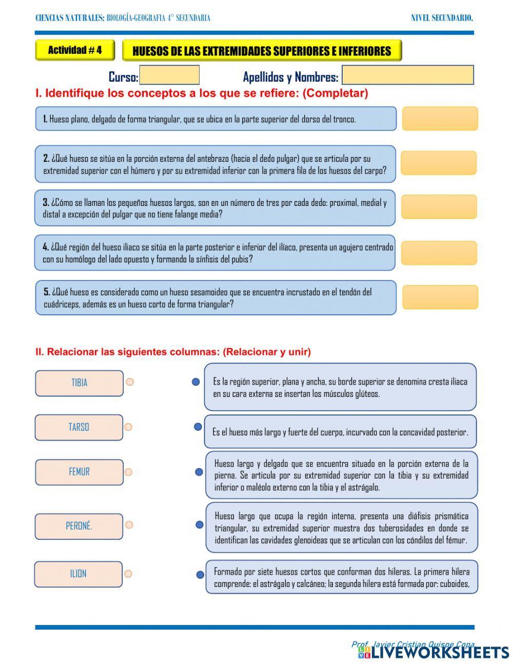 4. Huesos de las extremidades