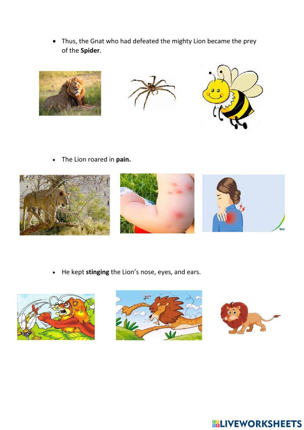 The lion and the gnat